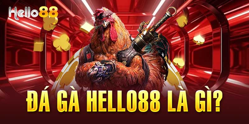 Hiểu sơ bộ về sân chơi đá gà Hello88 hấp dẫn