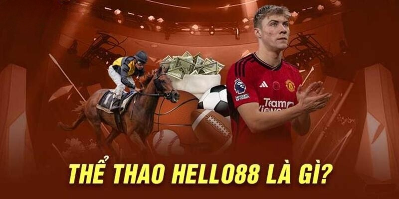 Điều cơ bản cần biết về sảnh game Hello88 thể thao